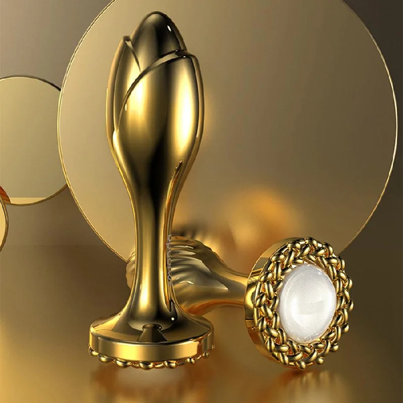 Luxury Stainless Steel Anal Plug Toy